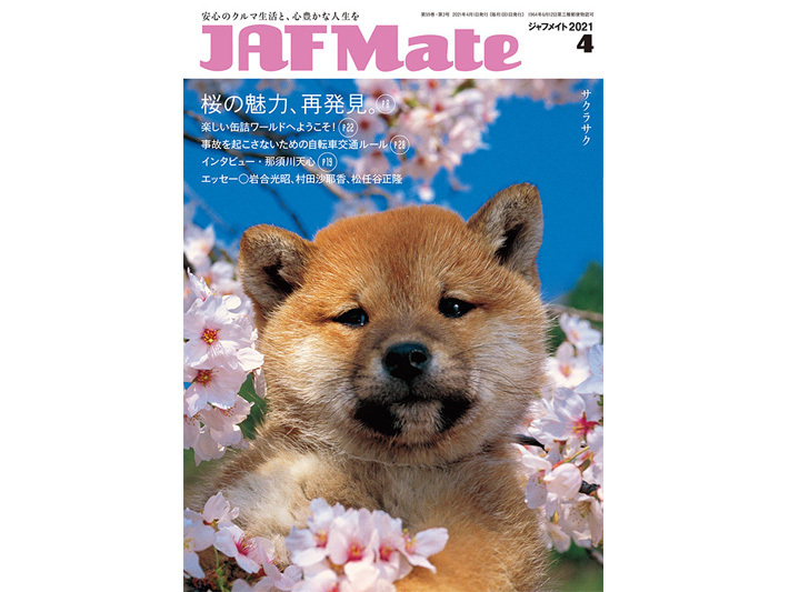 JAF Mate