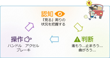 自動車の運転は認知・判断・操作のサイクルで成り立っています。