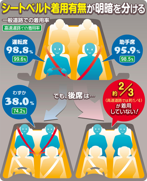 着用義務化から10年も……約3人に2人が「していない」後席シートベルト