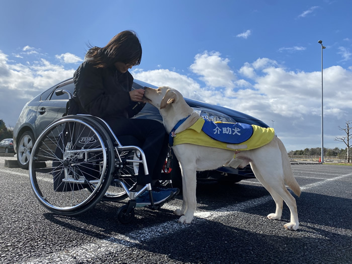 介助犬育成支援クラウドファンディング