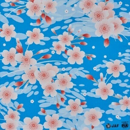桜×空模様