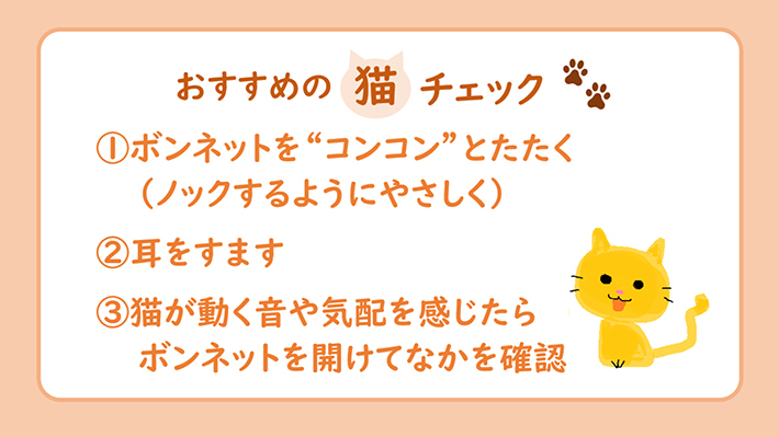 おすすめの猫チェック①ボンネットを”コンコン”とたたく（ノックするようにやさしく）②耳をすます③猫が動く音や気配を感じたらボンネットを開けてなかを確認