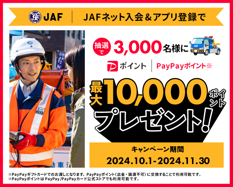 抽選でPayPayポイントプレゼント！