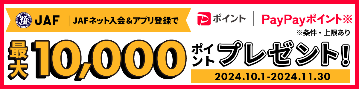 抽選でPayPayポイントプレゼント！