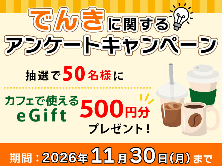 でんきに関するアンケートキャンペーン