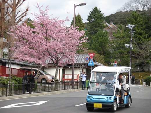 グリーンスローモビリティ導入事例