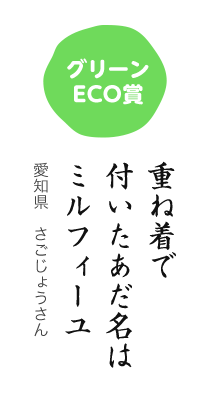 グリーンECO賞／重ね着で 付いたあだ名は ミルフィーユ／愛知県 さごじょうさん