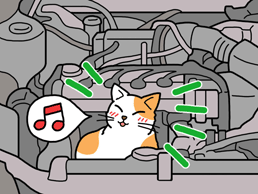 猫がエンジンルームに入ることを知っていますか Jaf