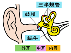 バス 酔い 安い 原因