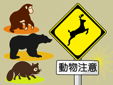 一般道で野生動物に遭遇したら