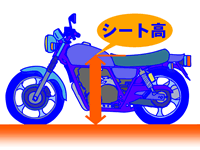 ボディサイズを確認する上で注意すべき点はどこですか?