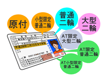 排気量別で分かれている必要な免許証と車検制度