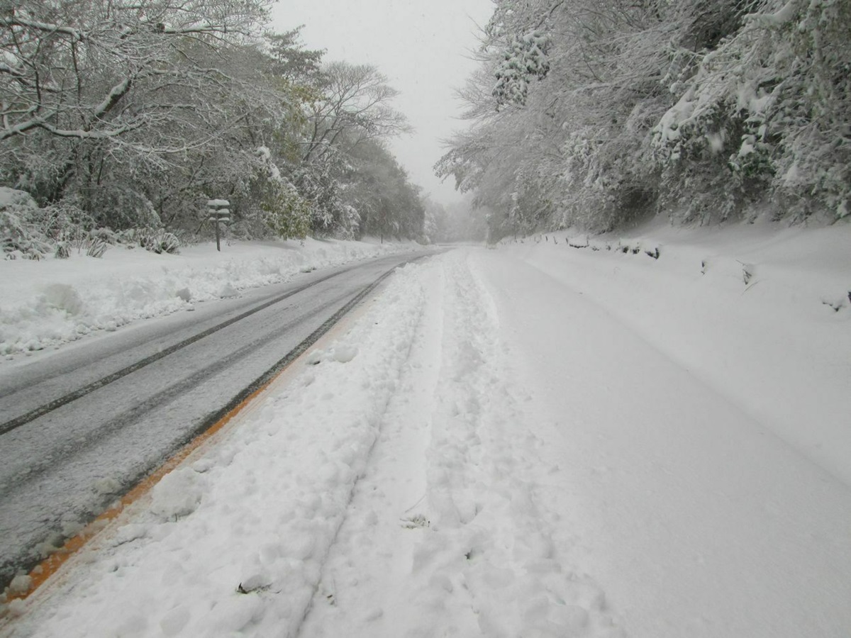 静岡県でも雪降ります タイヤチェーンのご準備を 伊豆スカイラインの雪景色 Jaf