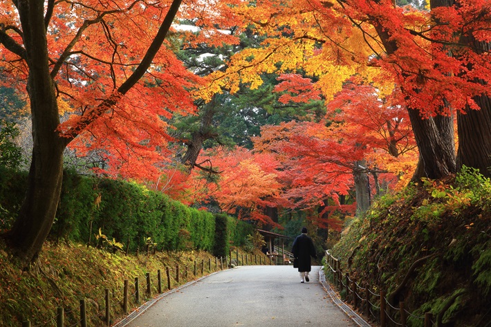 中尊寺の紅葉