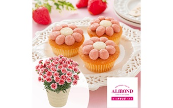 イメージ|千趣会の花とギフトの専門ショップ イイハナ・ドットコム|JAF PLUS 2026春