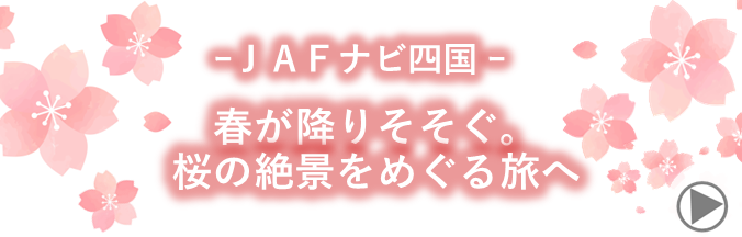 四国特集バナー(秋)