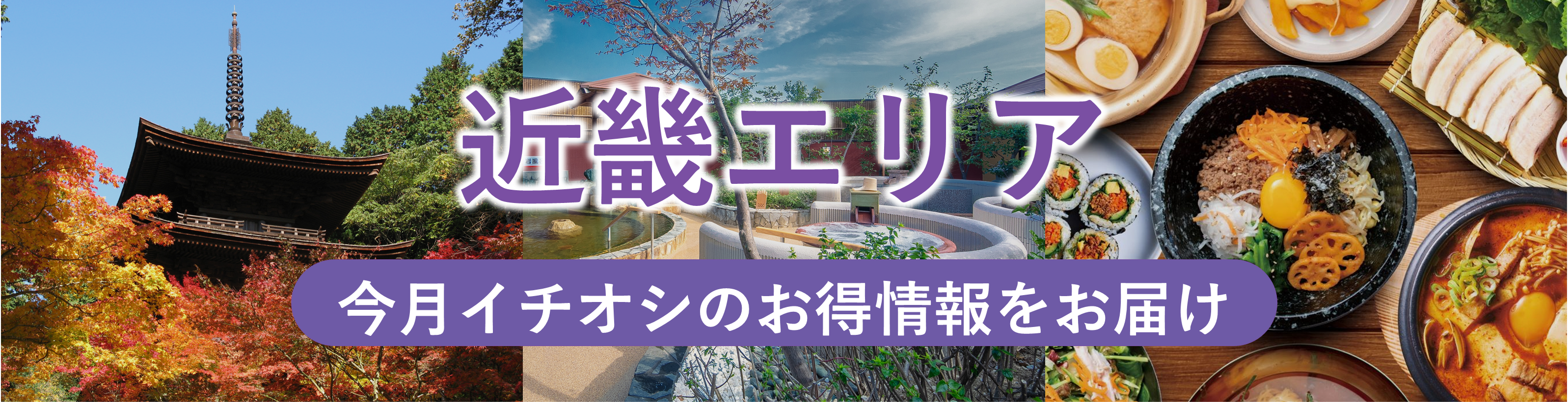 和歌山支部特集