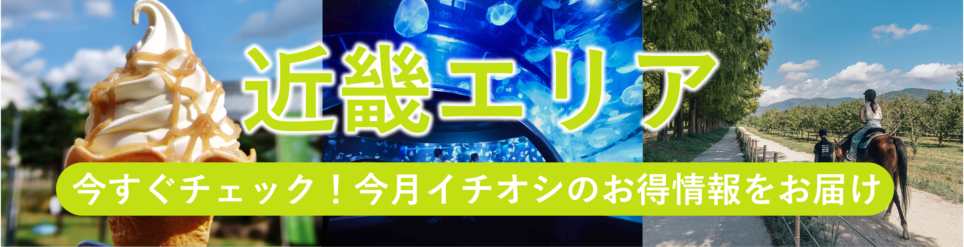 京都支部特集