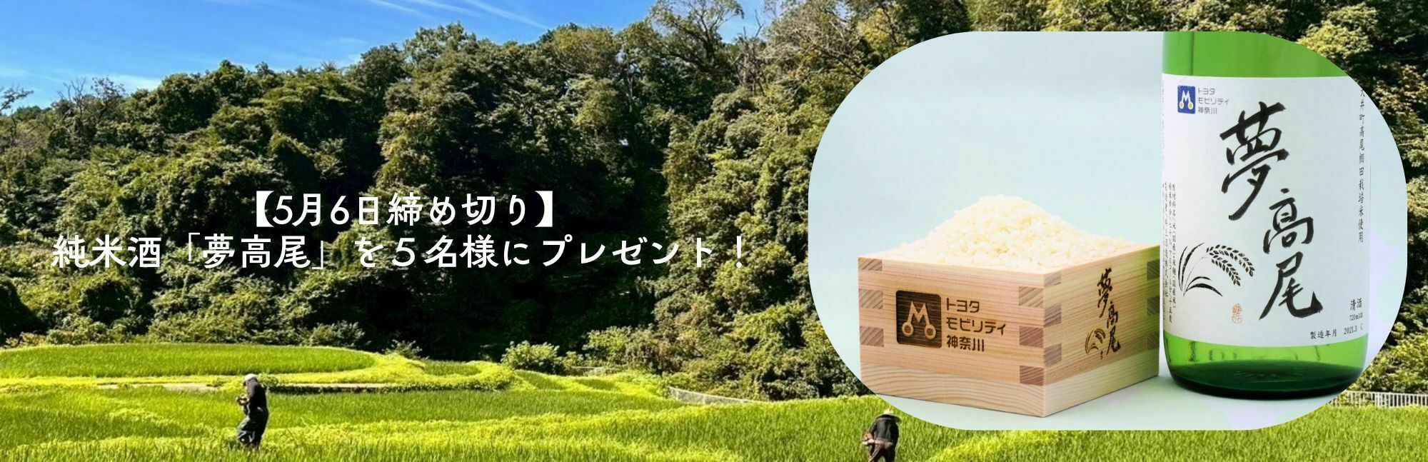 「夢高尾」を抽選で5名様にプレゼント！
