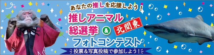 JAF北関東企画 「推しアニマル総選挙＆フォトコンテスト」