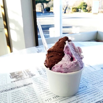 ジェラート画像