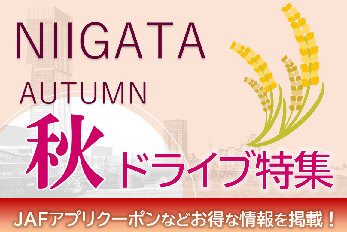 【新潟】秋のドライブ特集
