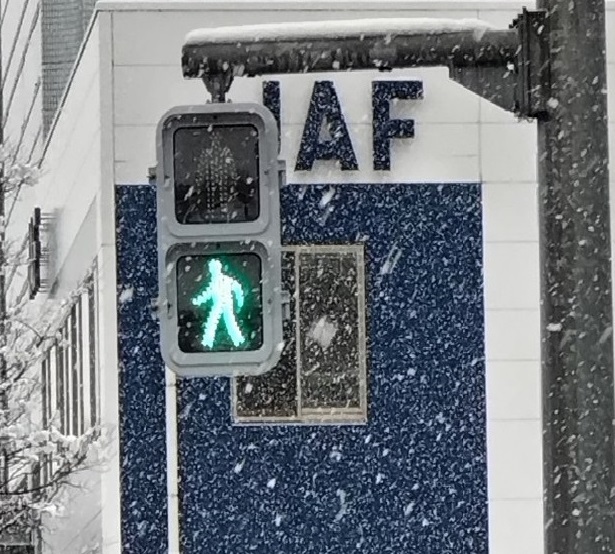 雪が降る中の新潟市歩行者用信号