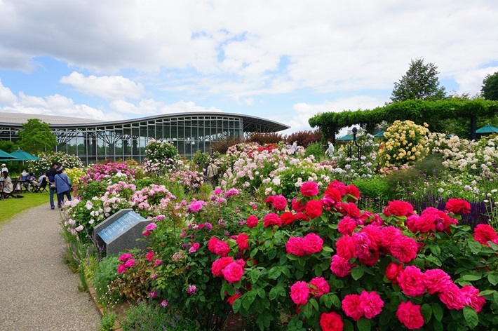 国営越後丘陵公園