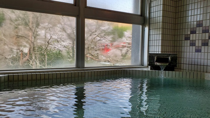 クアハウスたいない