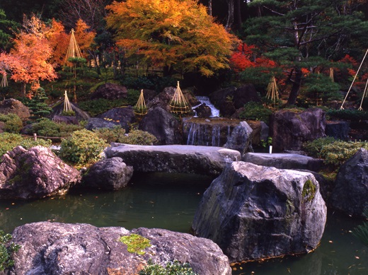 翡翠園 紅葉