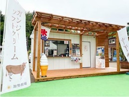 道の駅 良寛の里わしま