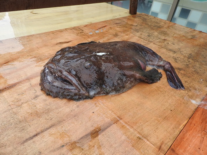 糸魚川の写真