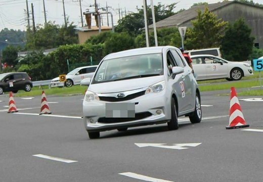 茨城シニア2021用写真