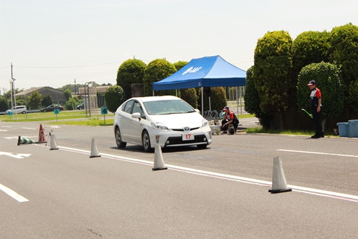 茨城シニア2021用写真
