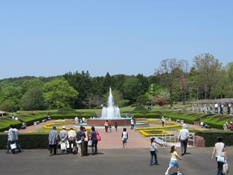 【茨城植物園】沈床園2