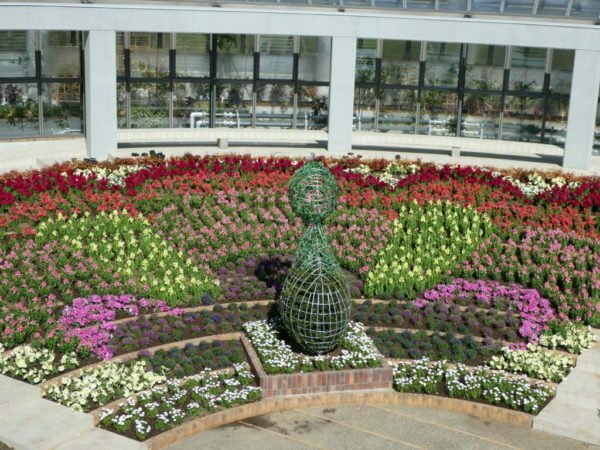 水戸市植物公園 が優待施設になりました Jaf