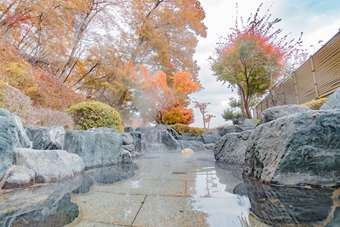 森林の温泉内観