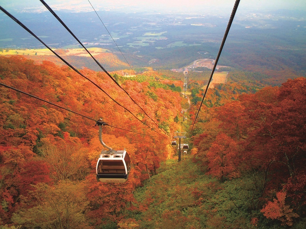 栃木のご当地情報 Jaf