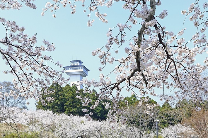 さくら市の写真