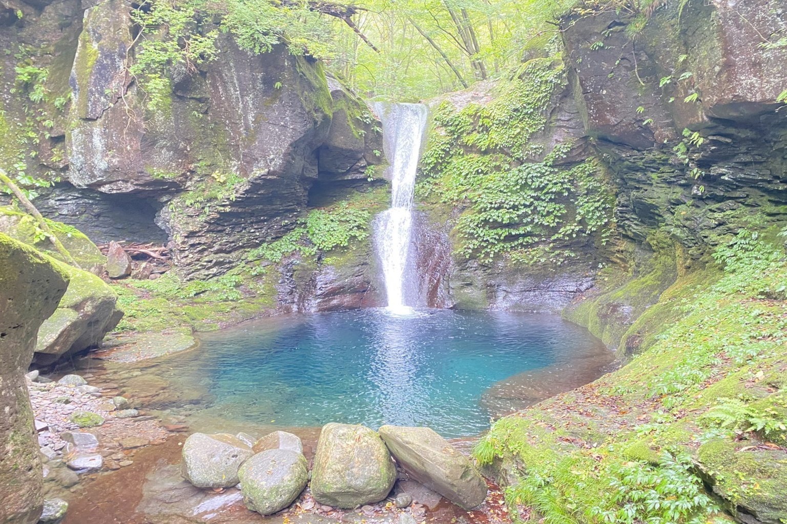 栃木・矢板「山の駅たかはら」がJAF会員優待施設になりました！ | JAF