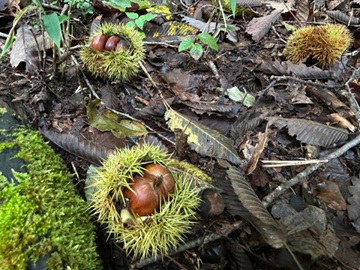 山の駅たかはら