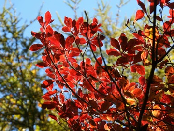 山の駅たかはら