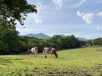 南ヶ丘牧場