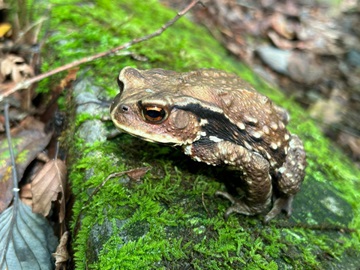 山の駅たかはら