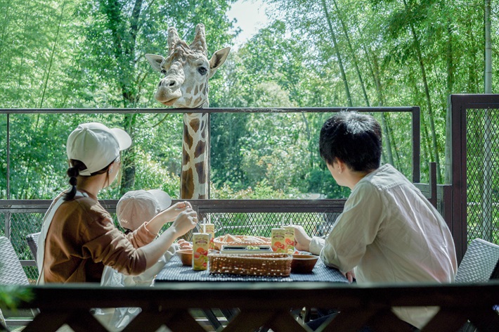 the-bambooforest-breakfastwithgiraffe