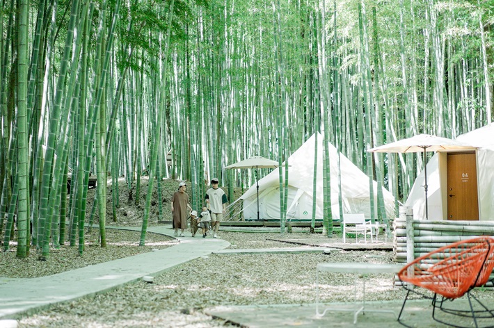 the-bambooforest-family