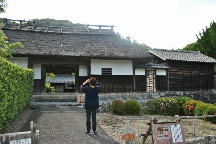 しずおかの魅力つたえ隊 牧之原市 大鐘家の美しいアジサイ Jaf