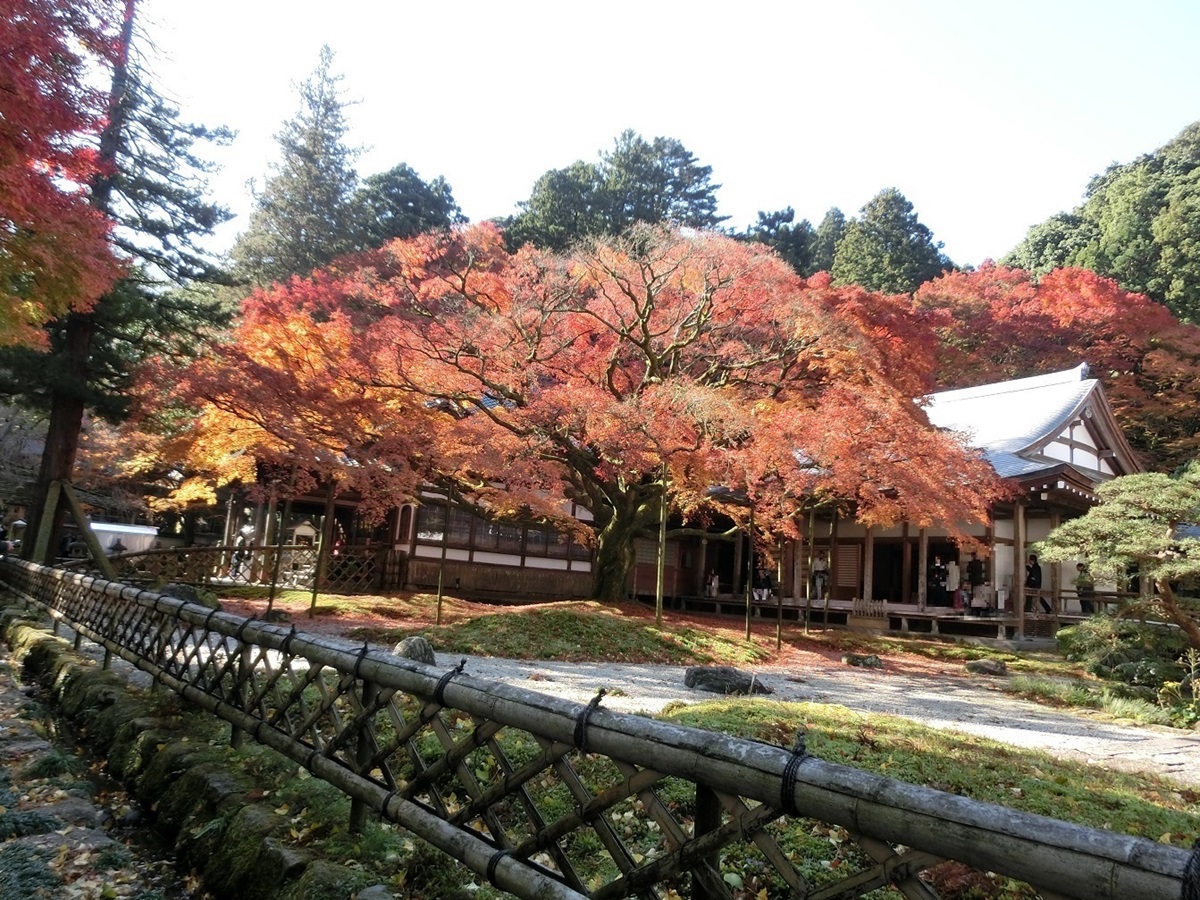 とるぱ福岡編 すばらしい紅葉を見に行こうよ 雷山千如寺の駐車場 糸島市 Jaf とるぱ福岡編 すばらしい紅葉を見に行こうよ 雷山千如寺の駐車場 糸島市 Jaf