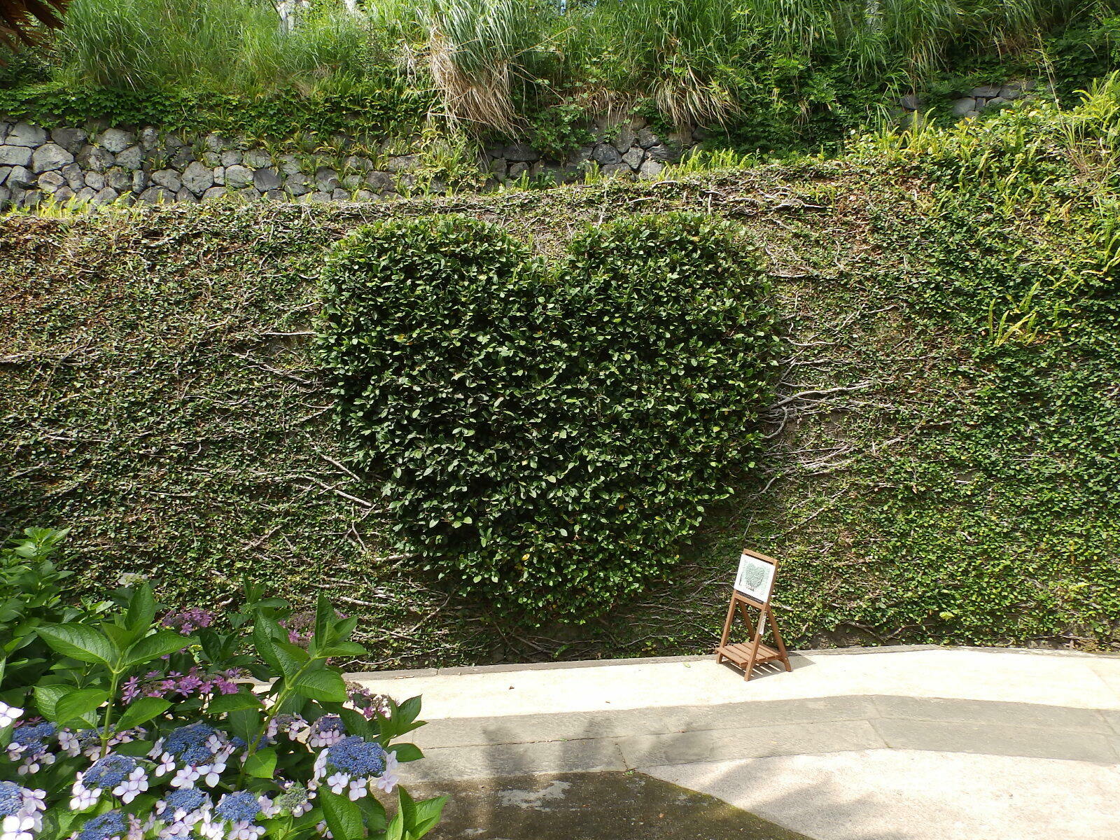 長崎探検隊 ハートの石を探そう 1 Jaf