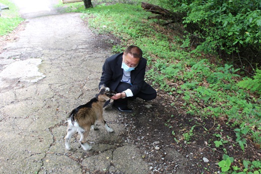 熊本よかとこぶらり旅 Vol 3 田子山展望所 そらふねの桟橋 Jaf